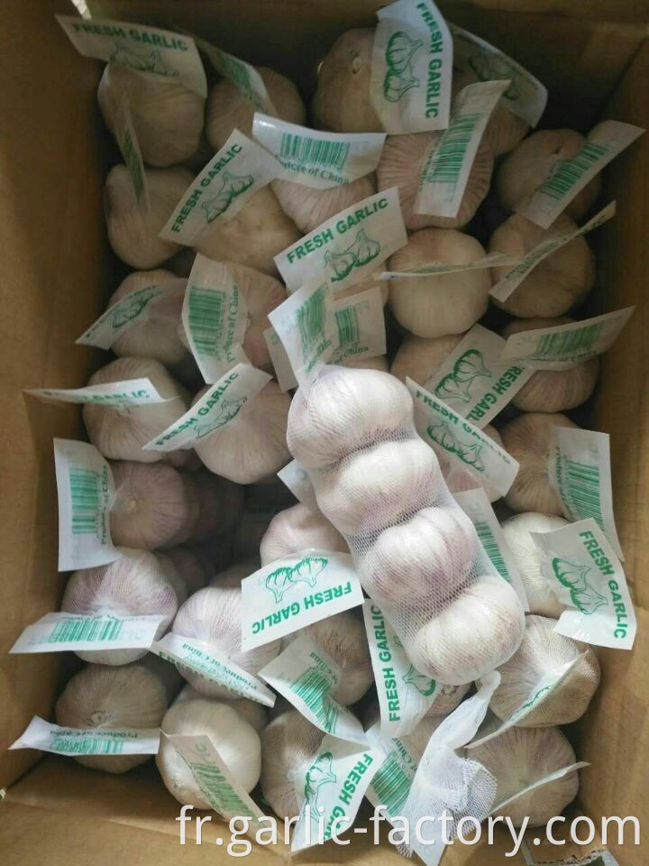 Pure white Garlic 5P mesh bag